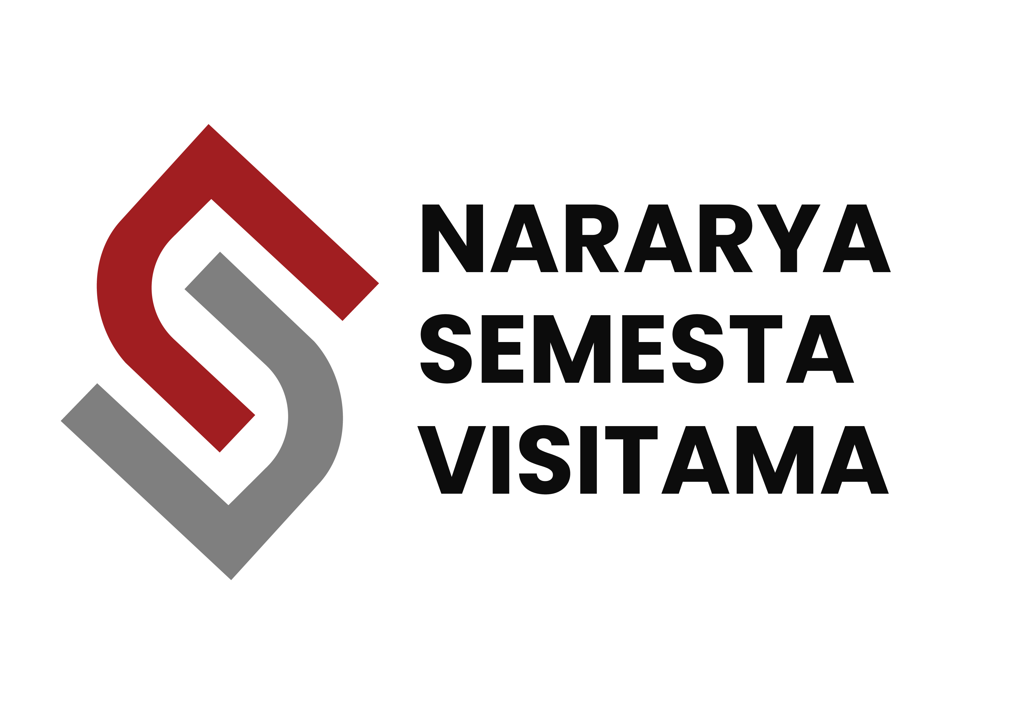 NSV Logo